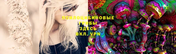 PSILOCYBIN Алзамай