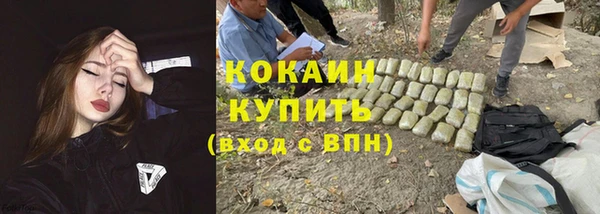 тгк Абинск