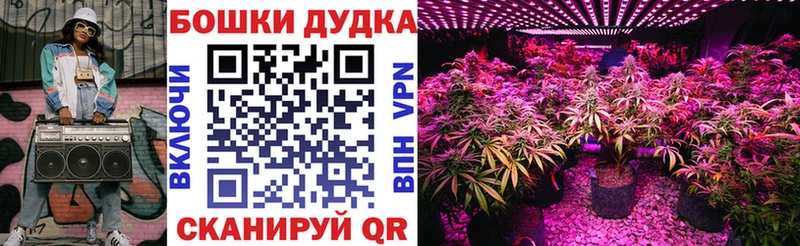 кракен зеркало  Новопавловск  Шишки марихуана Amnesia 